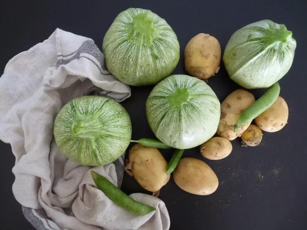 légumes du potager