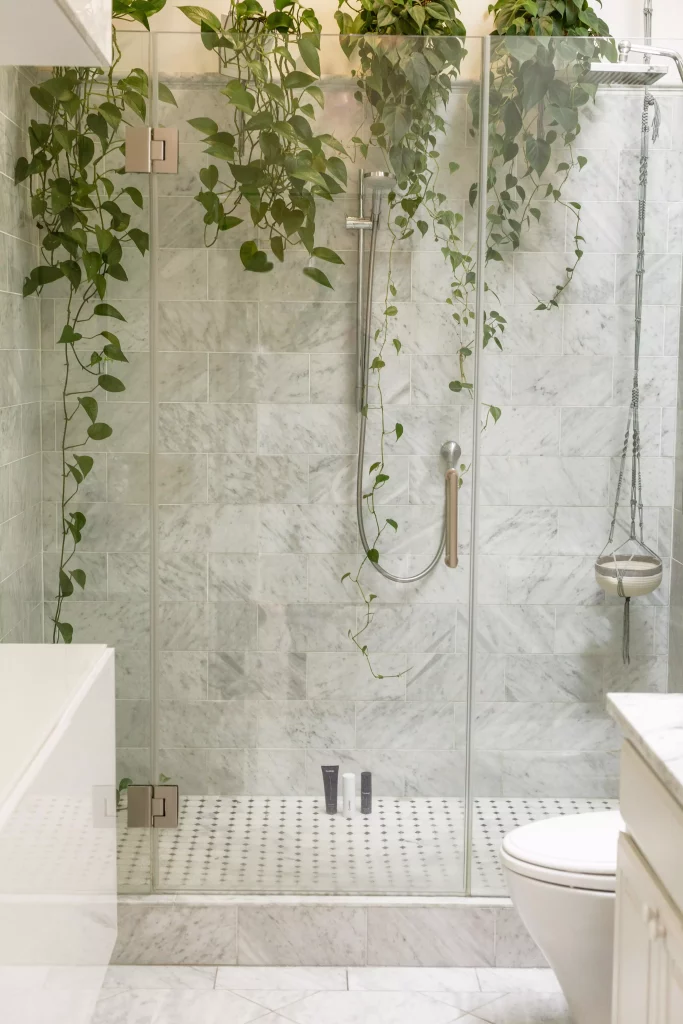 Salle de bain avec plantes